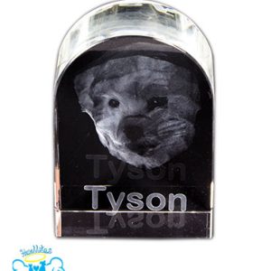 Memorial Tyson