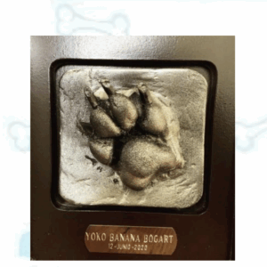 HUELLA EN YESO MARCO DE MADERA