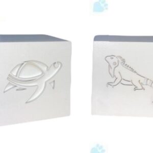 MINI REPTIL