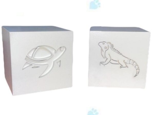 MINI REPTIL