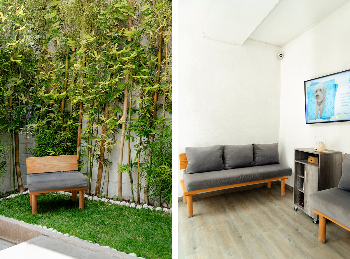 -_0000_-_0001_SPR_3822