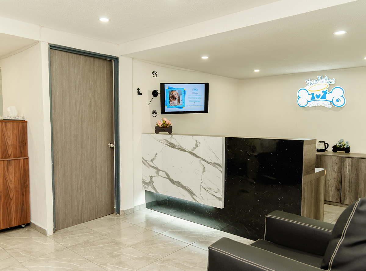 -_0000_-_0004_SPR_4013