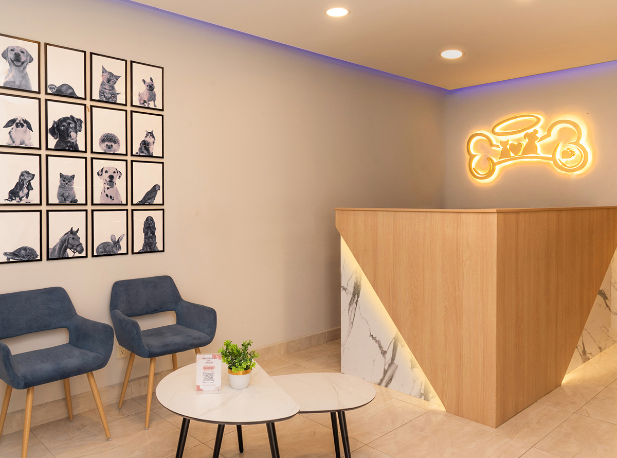 -_0002_-_0006_SPR_3537