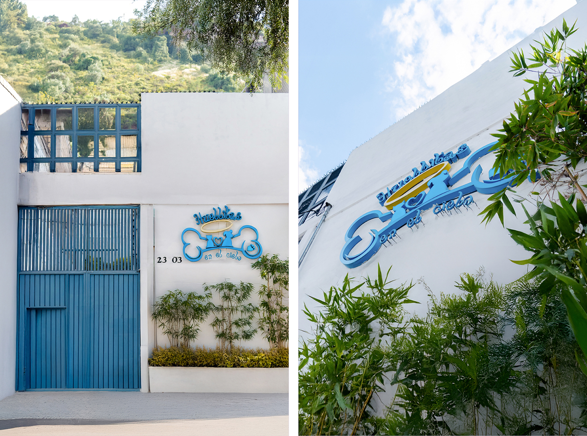 -_0002_-_0010_Capa 0