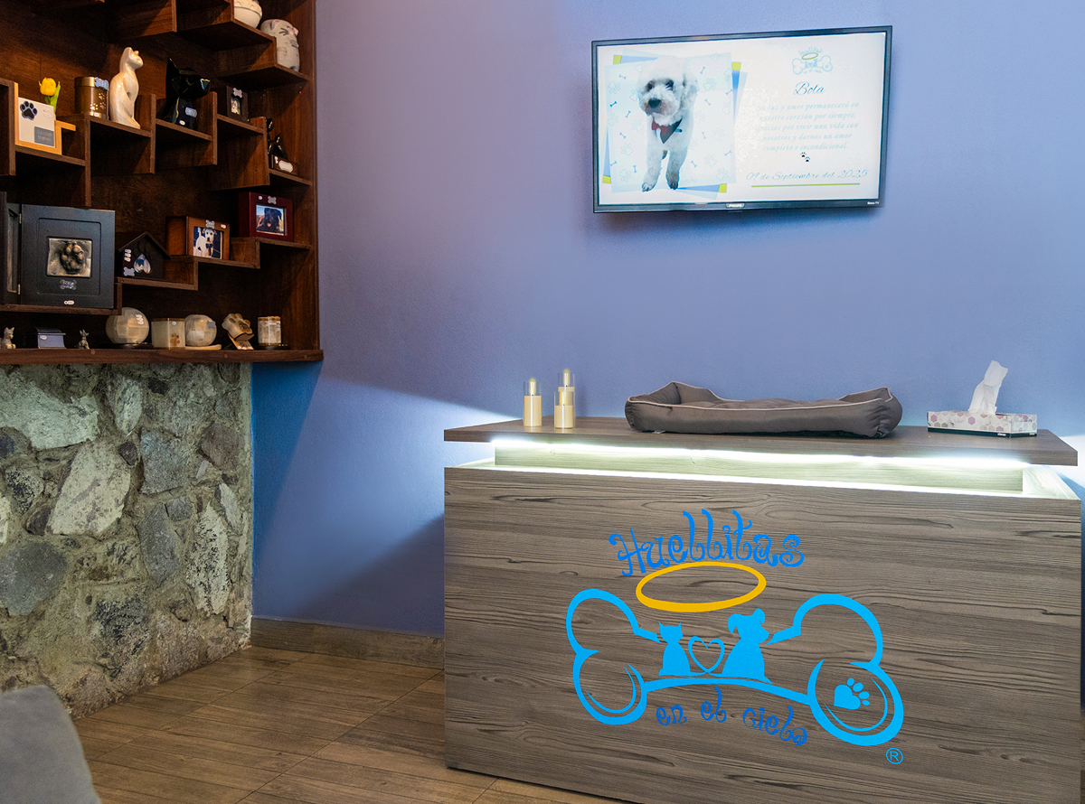 -_0003_-_0009_SPR_3852