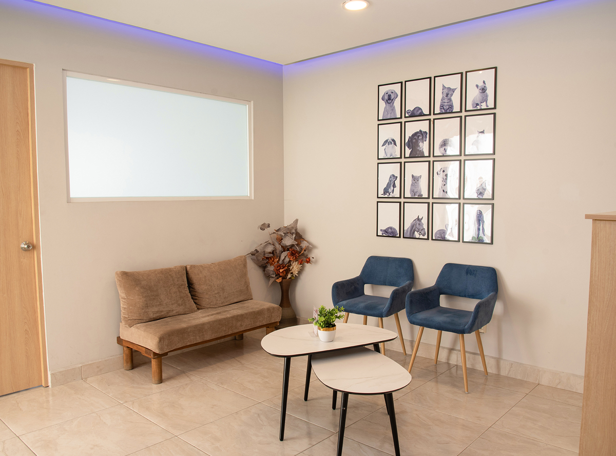 -_0004_-_0004_SPR_3567