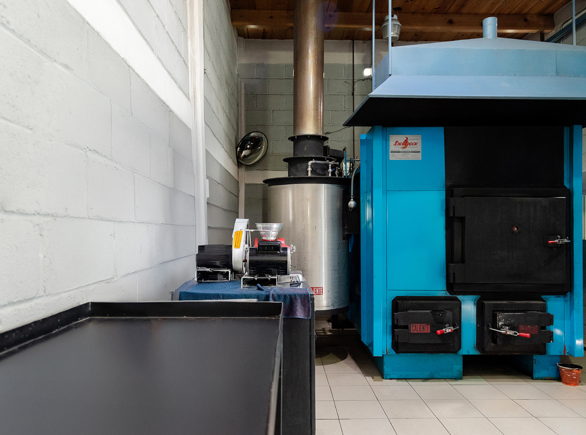 -_0004_-_0008_SPR_3865