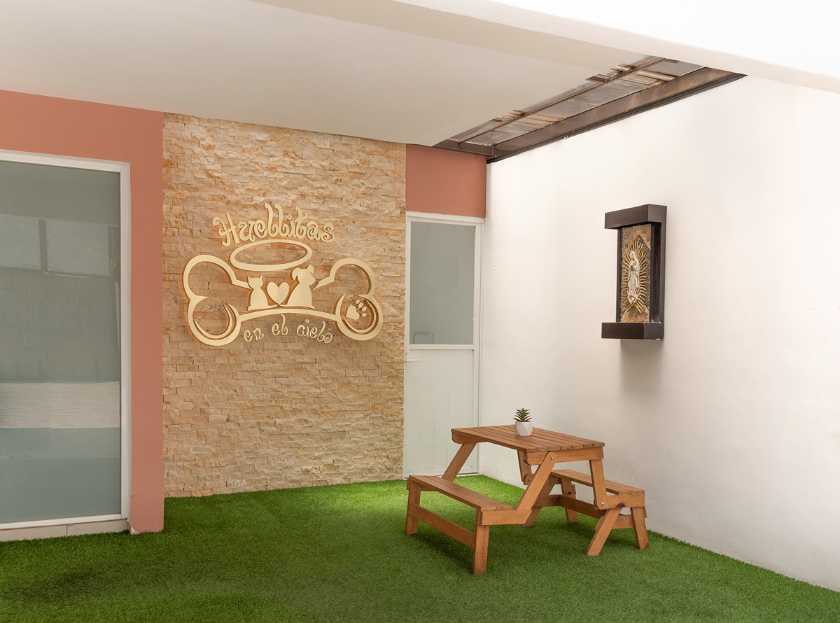 -_0005_-_0003_SPR_3577