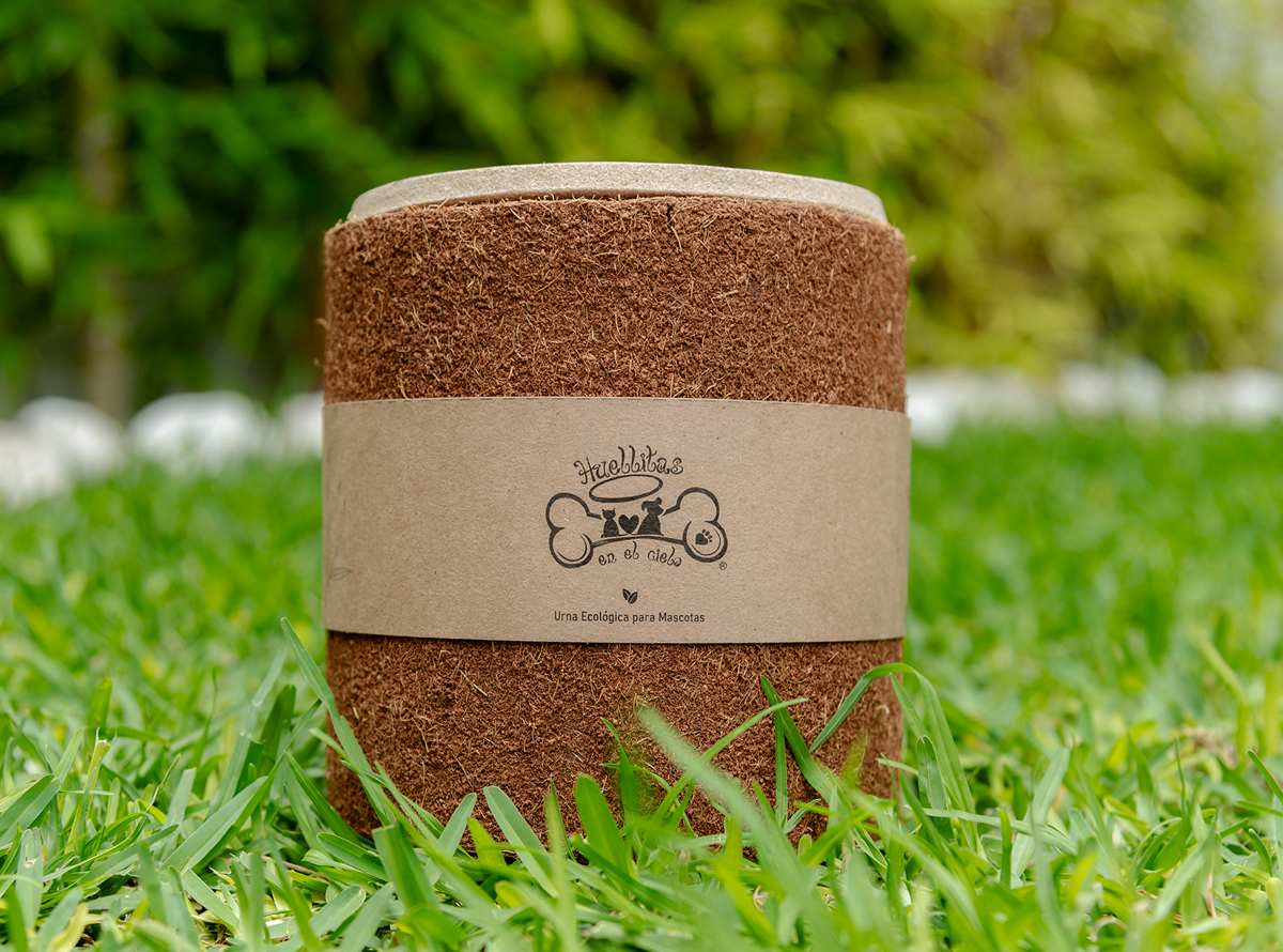 -_0005_-_0007_SPR_3913