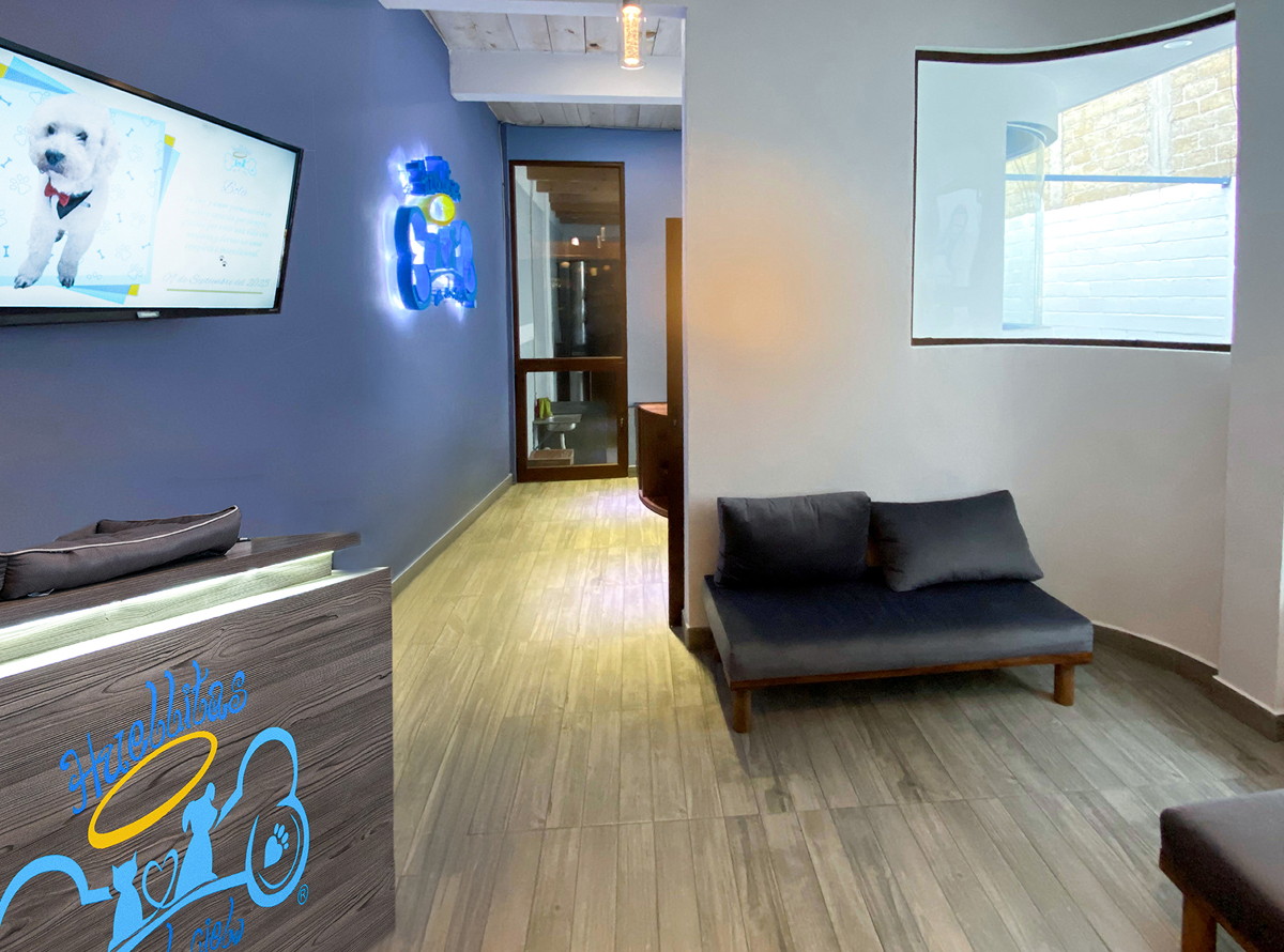 -_0006_-_0006_WhatsApp Image 2025-09-25 at 19.28.23