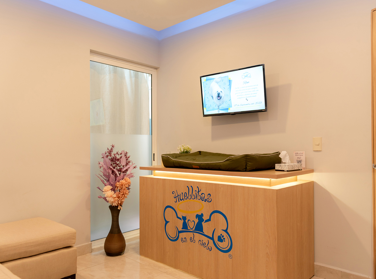 -_0007_-_0001_SPR_3638