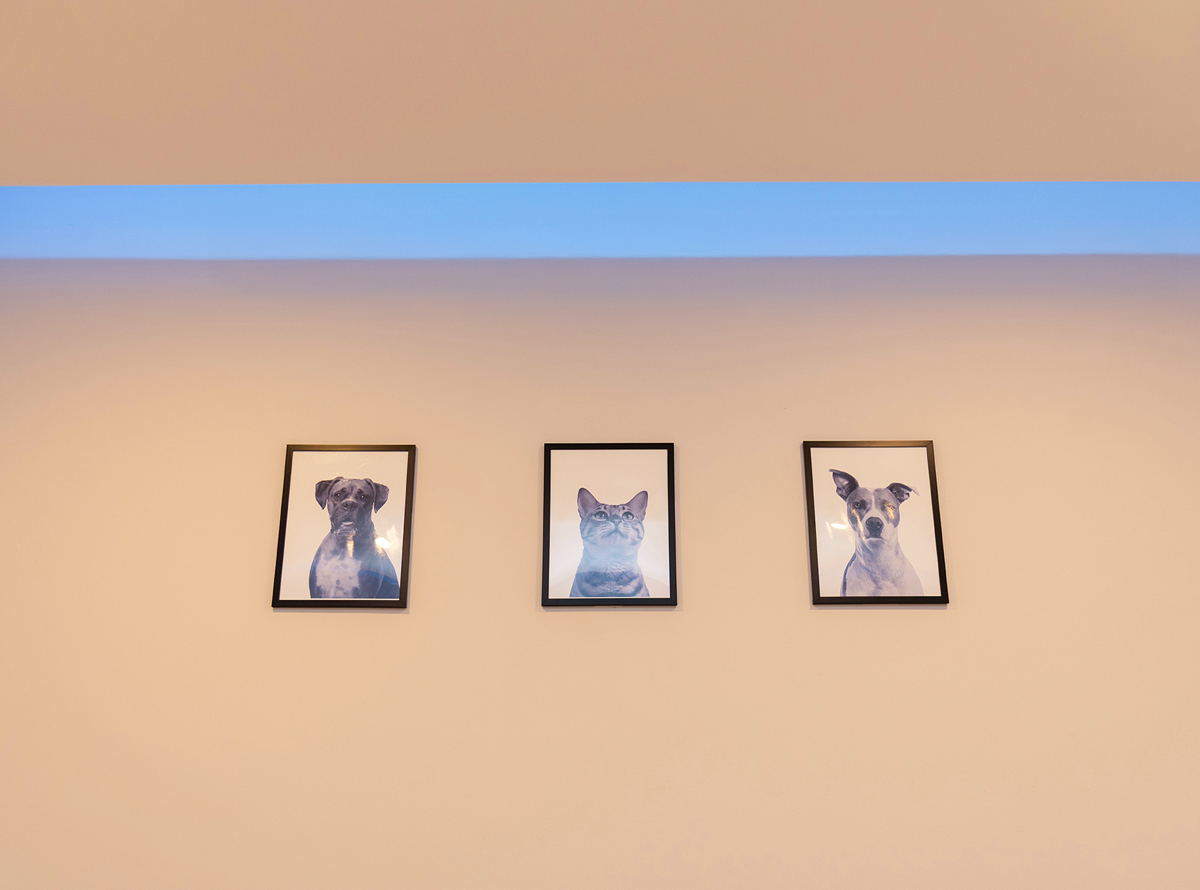 -_0008_-_0000_SPR_3681