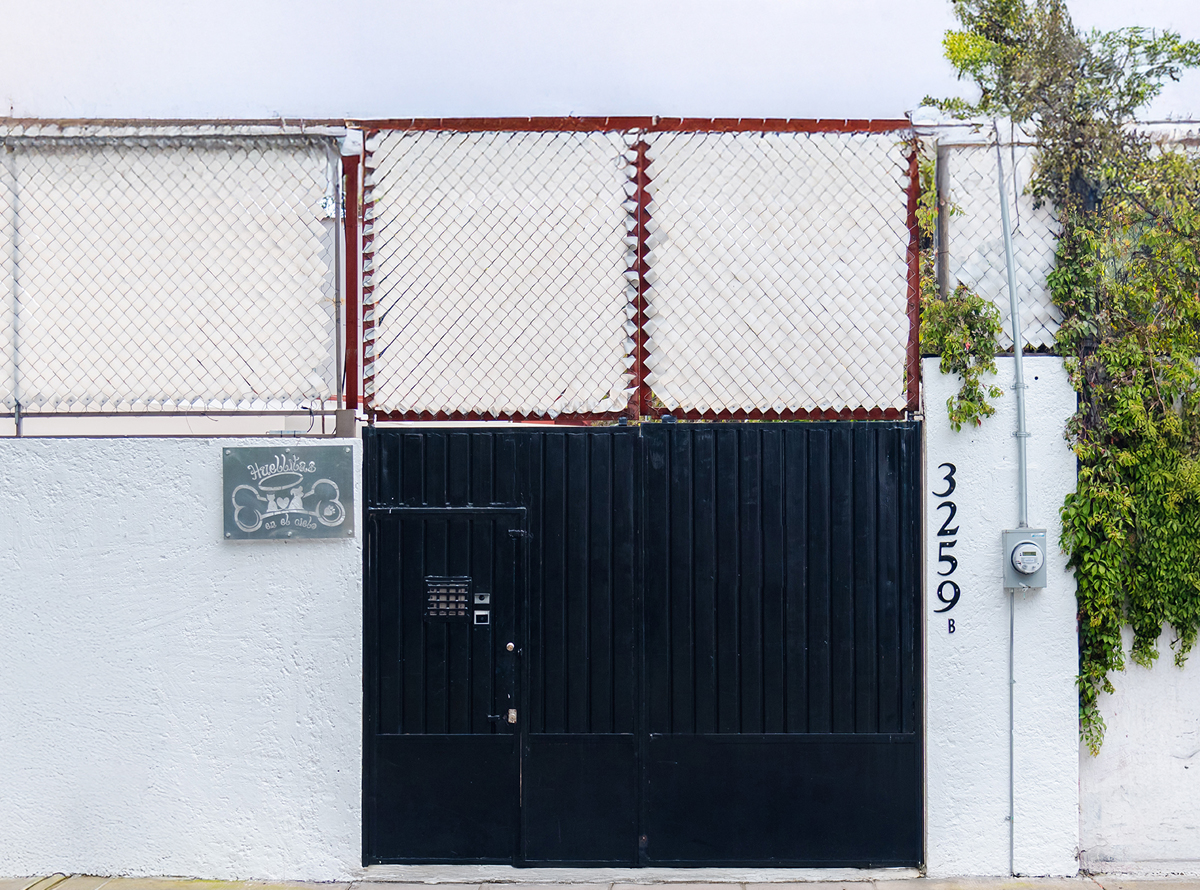 -_0009_-_0009_SPR_4108